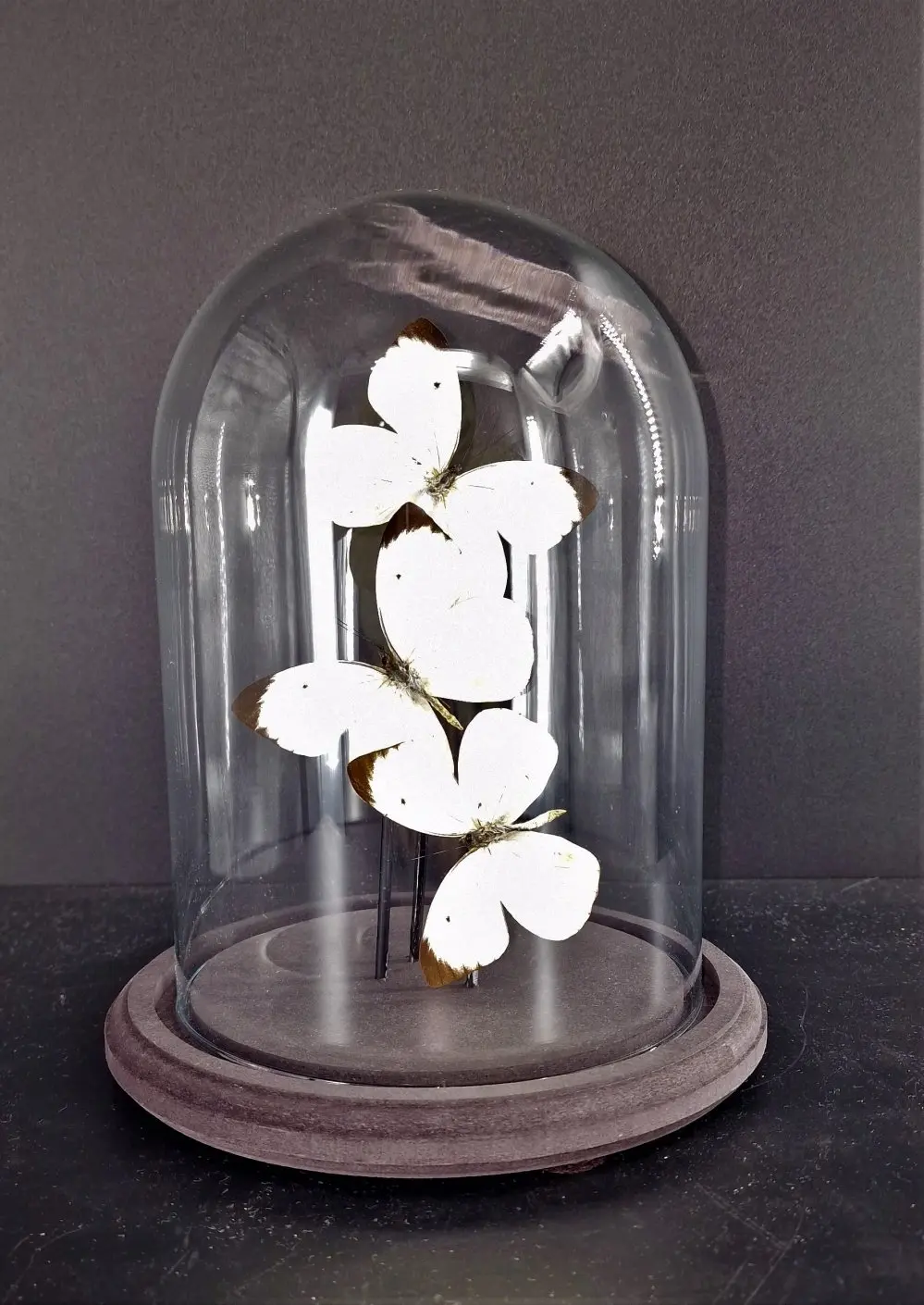 Stolpen  - 3 witte vlinders stolp  glas