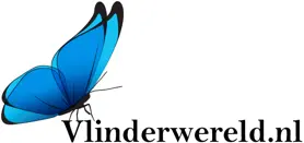 Vlinderwereld | Logo
